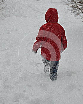 Boy Red Coat Snowstorm