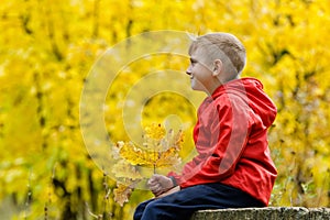 Boy in red jacket sitting on a tree stump in the autumn forest. Side view