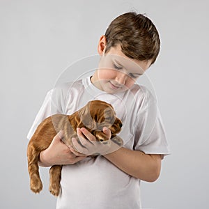 Boy with red puppy isolated on white background. Kid Pet Friendship