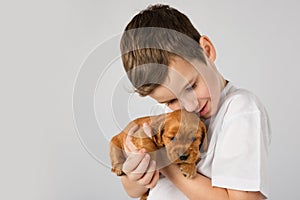 Boy with red puppy isolated on white background. Kid Pet Friendship