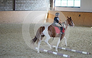 Boy riding horse back. Equestrian sport. Dressage. Animals and children. Arena