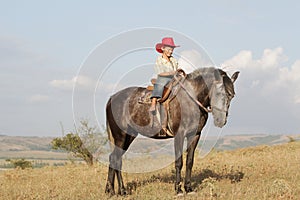 Boy riding a horse on farm outdoors