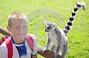 Boy with Ring-Tailed Lemur