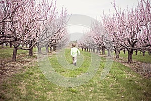 Boy running in Peach orchard