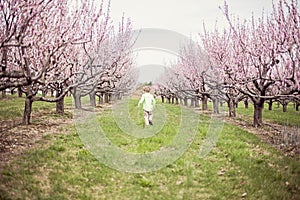 Boy running in Peach orchard