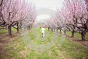 Boy running in Peach orchard