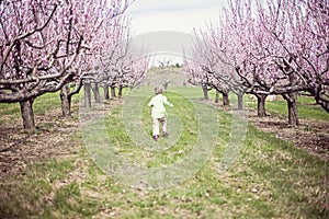 Boy running in Peach orchard