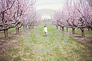 Boy running in Peach orchard
