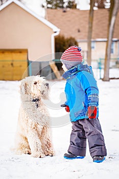 Boy running and playing with snow and white large big pet dog outdoors