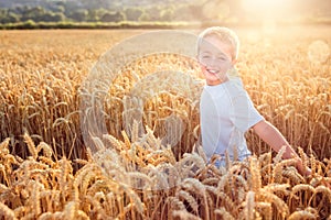 Boy running and smiling in wheat field in summer sunset