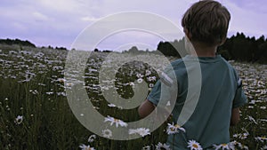 The boy runs through the meadow with flowers. CREATIVE. Rear view of a child running through a field of daisies. A child