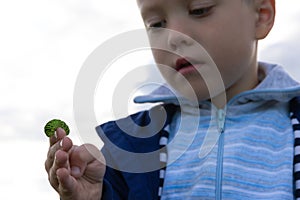 The boy`s hands hold a beautiful green swallowtail caterpillar on a bright summer day in nature