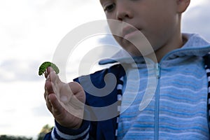 The boy`s hands hold a beautiful green swallowtail caterpillar on a bright summer day in nature. Selective focus