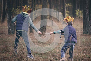 The boy's portrait with a crown on the head and a sword in hands. The thoughtful boy dreams.