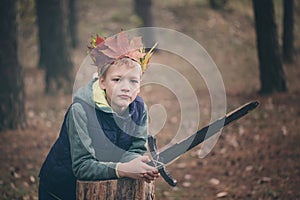 The boy's portrait with a crown on the head and a sword in hands. The thoughtful boy dreams