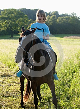 Boy in a Saddle of Horse Horseback Riding