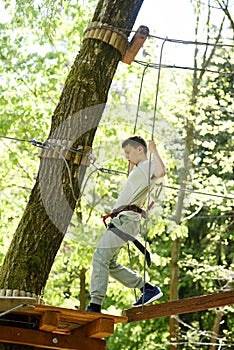 Boy climbs on a route in treetops in a forest adventure park. photo