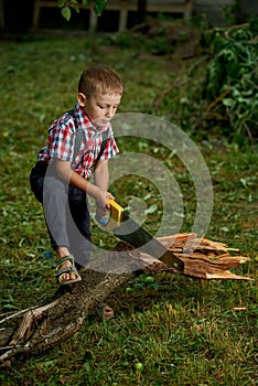 Boy sawing fallen tree in garden