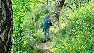 A boy scout with a trekking stick walks through the forest along a tourist route in search of a family camp. A boy with a tourist