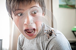 The boy screams in horror when he sees a huge spider crawling on the shoulder. brave boy plays with huge spider