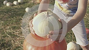 Project end. Boy sets the top of the pumpkin pyramid. Final stage in creation.