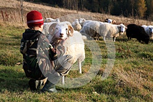 Boy and sheep