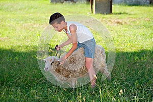 Boy with sheep in the village