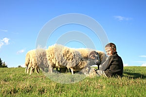 Boy and sheeps