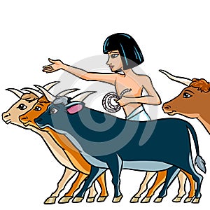 Boy shepherd herd of cows Ancient Egypt clipart cartoon illustration