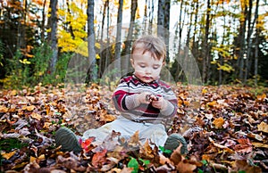 Boy Sits Inspecting a Maple Leaf