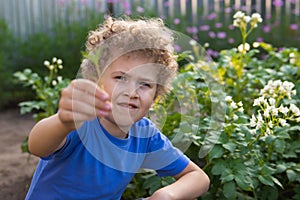 A boy sits near the beds in the garden and holds a plucked weed in his hands. Garden maintenance. The work of children in the