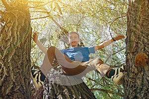 A boy sits on top of a tree, wide angle photo