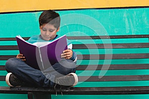Boy sitting on a bench reading a book