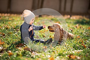 Boy sitting on the grass with a dog
