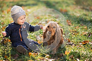 Boy sitting on the grass with a dog