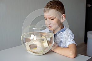 The boy is sitting near a table with a transparent aquarium and looks into an aquarium with fish