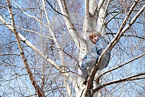 Boy sitting on the tree