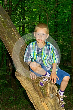 Boy sitting by a tree