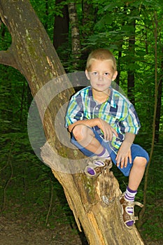 Boy sitting by a tree