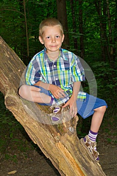 Boy sitting by a tree