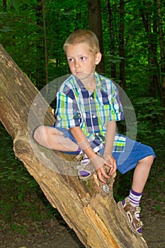 Boy sitting by a tree