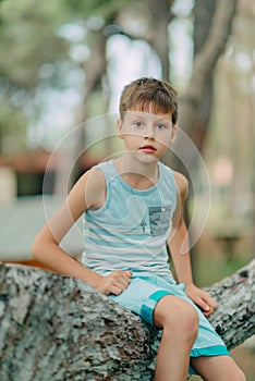 Boy sitting on a tree