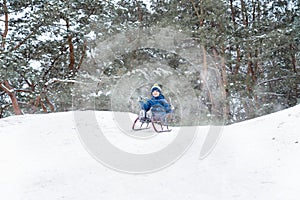 Boy sledding in a snowy forest. Outdoor winter fun for Christmas vacation.