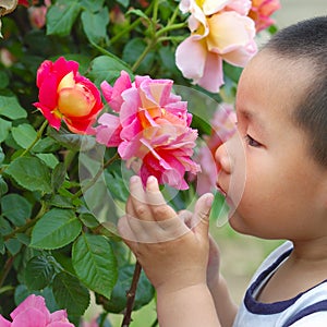 Boy smell flower