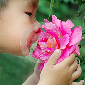 Boy smell flower