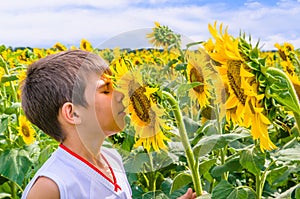 Boy smelling a sunflower