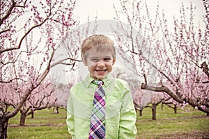 Boy smiling standing in flowering trees