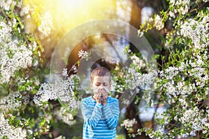 Boy sneezes in the park against the background of a flowering tree because he is allergic