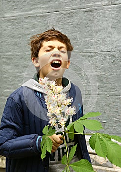 Boy sniffing from hey fever chestnut flowers