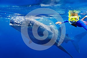 Boy snorkeling with whale shark